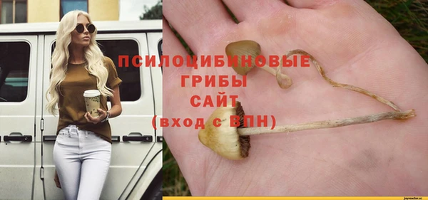 гашик Алексин