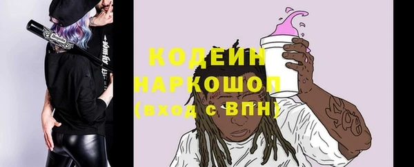 гашик Алексин