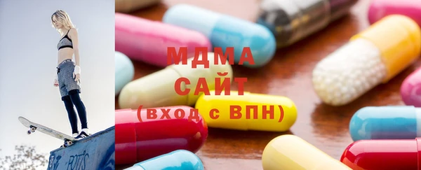 гашик Алексин