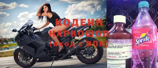 гашик Алексин