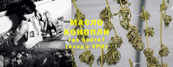 гашик Алексин