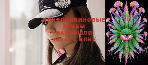 гашик Алексин
