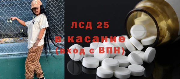 гашик Алексин