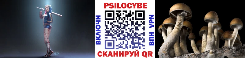 shop наркотические препараты Черепаново Псилоцибиновые грибы Magic Shrooms цена наркотик