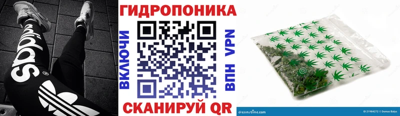 Каннабис индика  Черепаново 